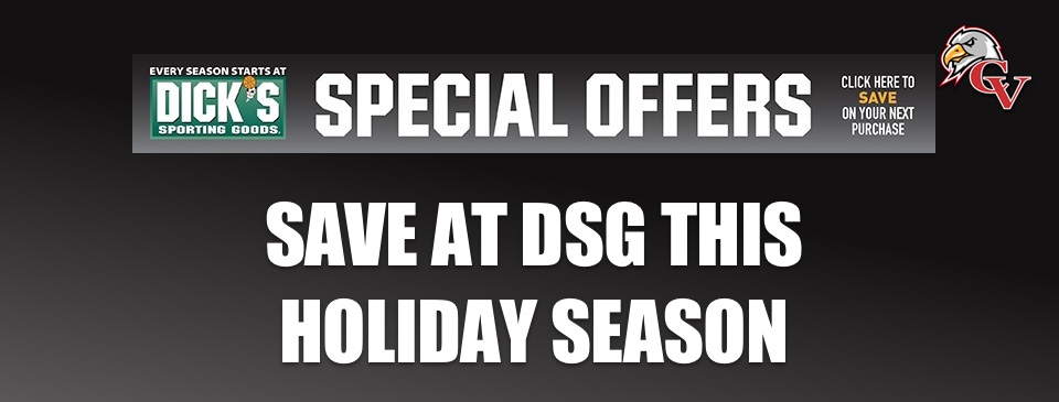 Save At DSG This Holiday Season